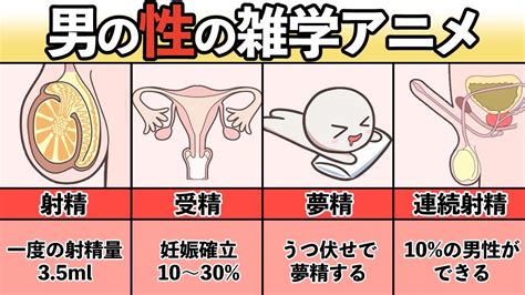 射精 なぜ気持ちいい|射精は何のための現象？そのメカニズムを詳しく解説。